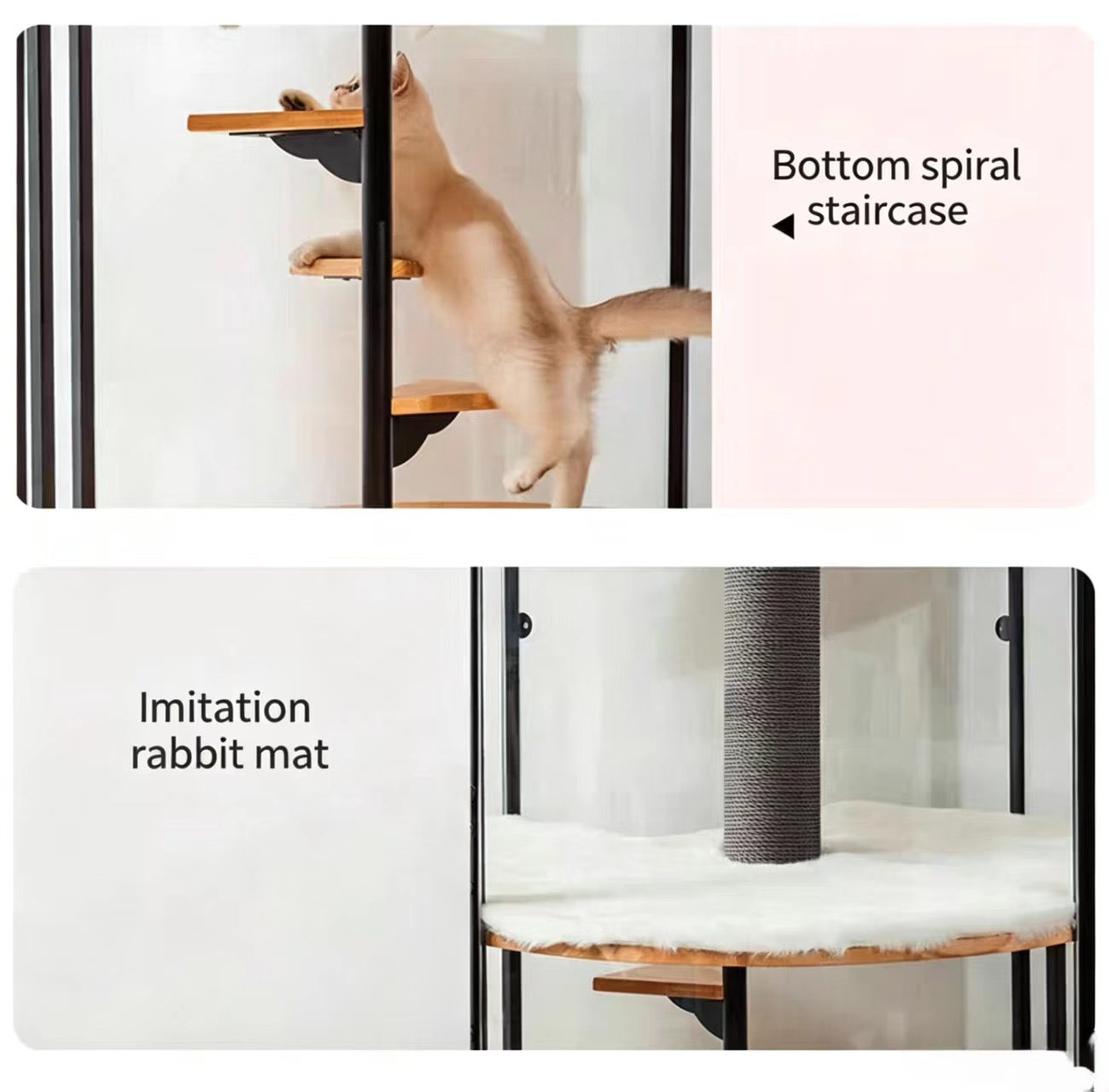 indoor 360 full view  cat home